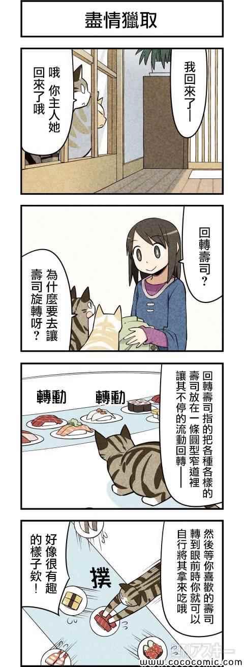 《咱们乃猫是也》漫画 019集