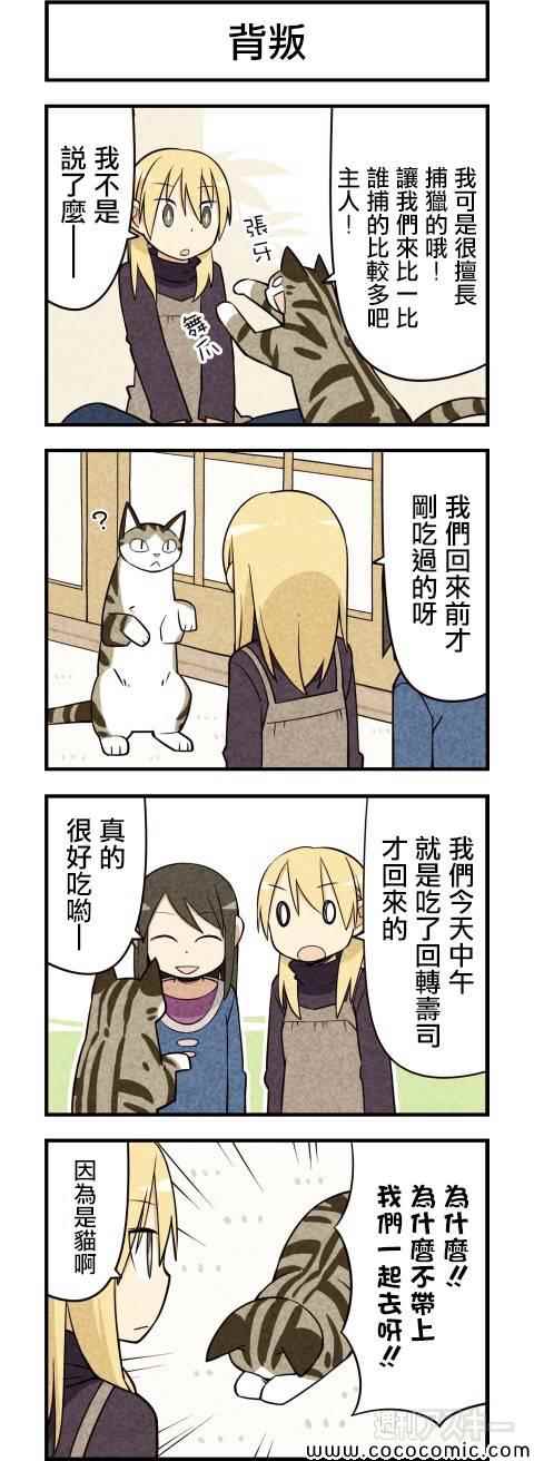 《咱们乃猫是也》漫画 019集