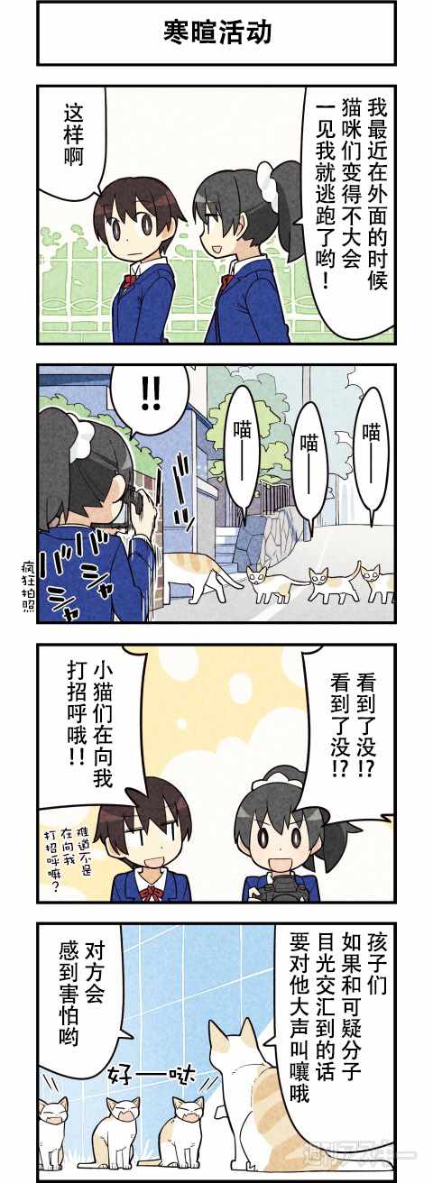 《咱们乃猫是也》漫画 062话