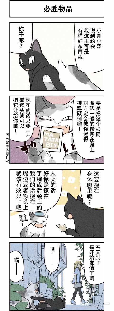 《咱们乃猫是也》漫画 062话