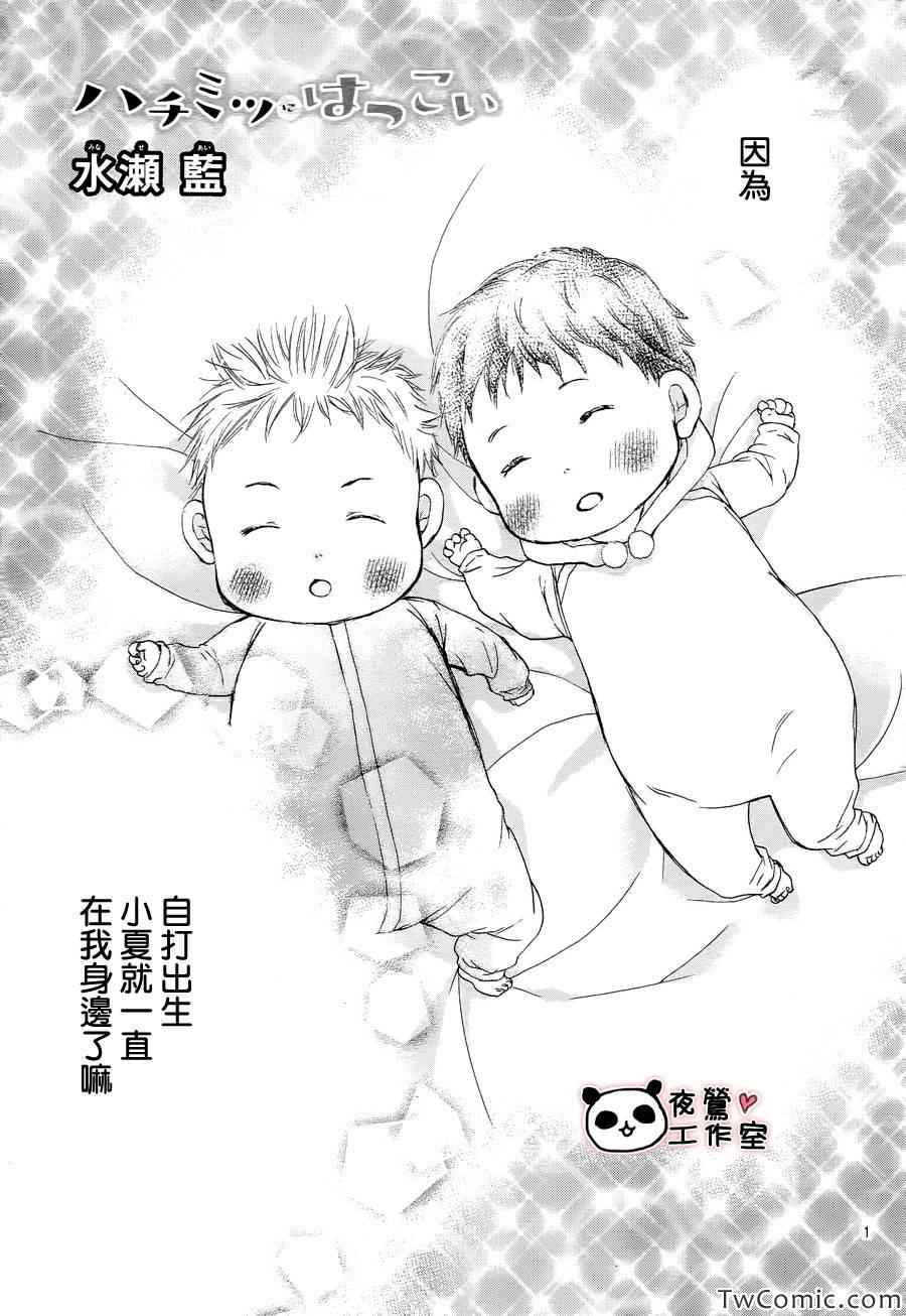 《蜂蜜初恋》漫画 033集