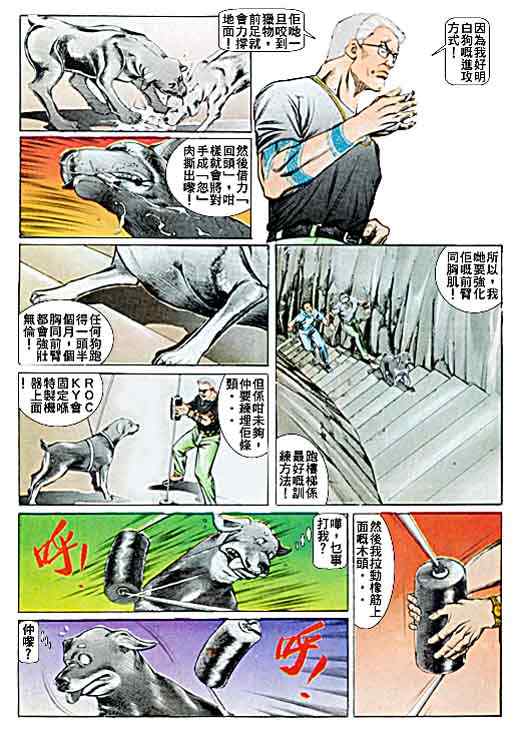 《古惑仔》漫画 系列00049集