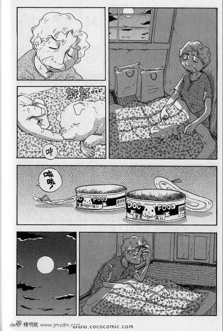 《星守犬》漫画 续 2本完