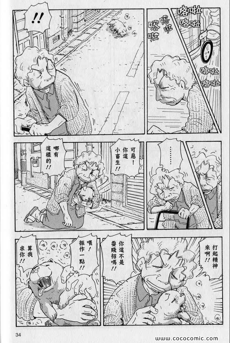 《星守犬》漫画 续 2本完