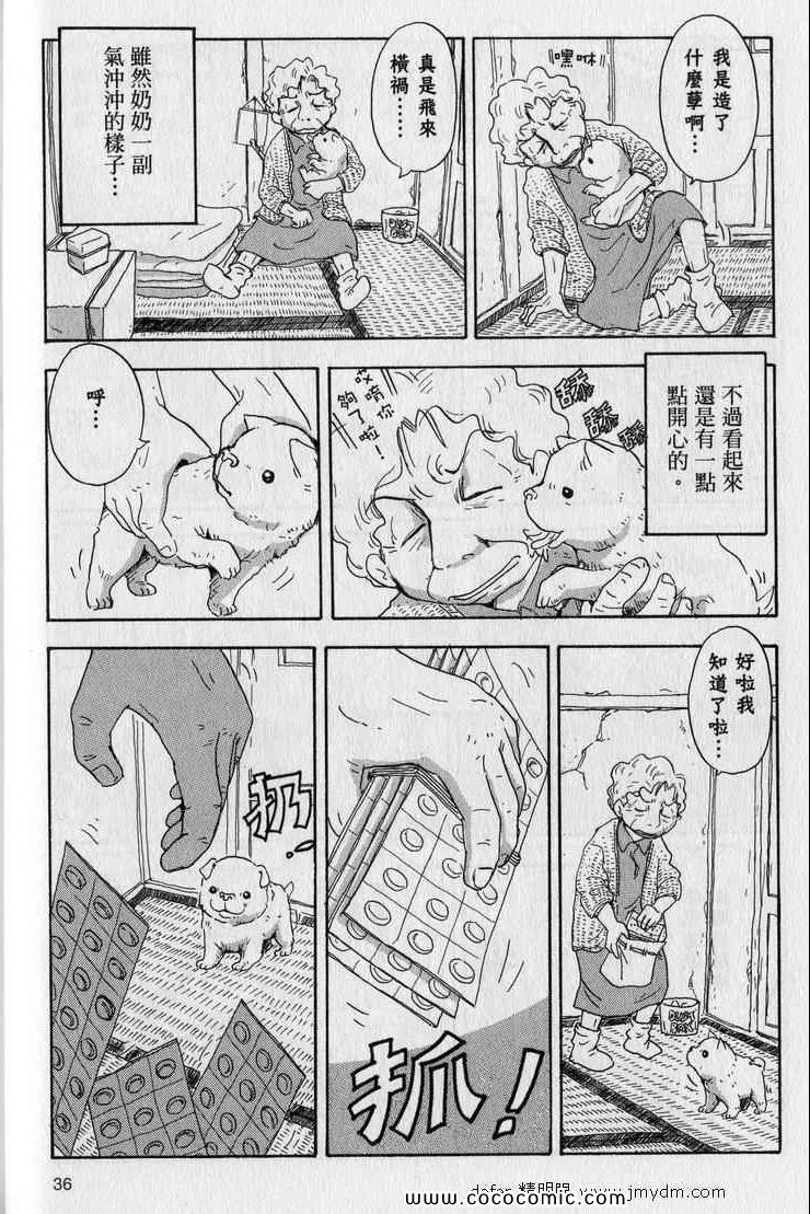 《星守犬》漫画 续 2本完