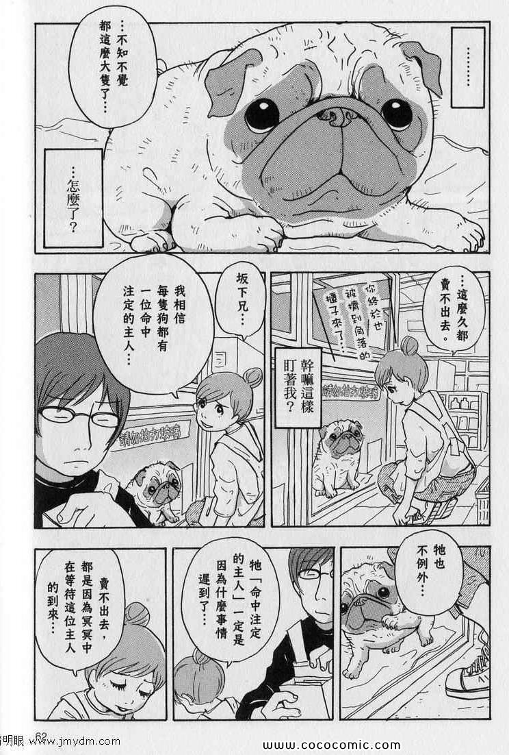 《星守犬》漫画 续 2本完