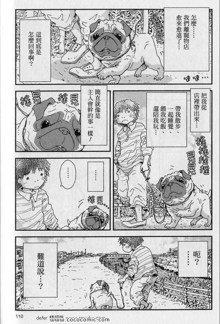 《星守犬》漫画 续 2本完