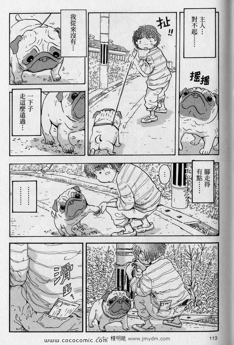 《星守犬》漫画 续 2本完