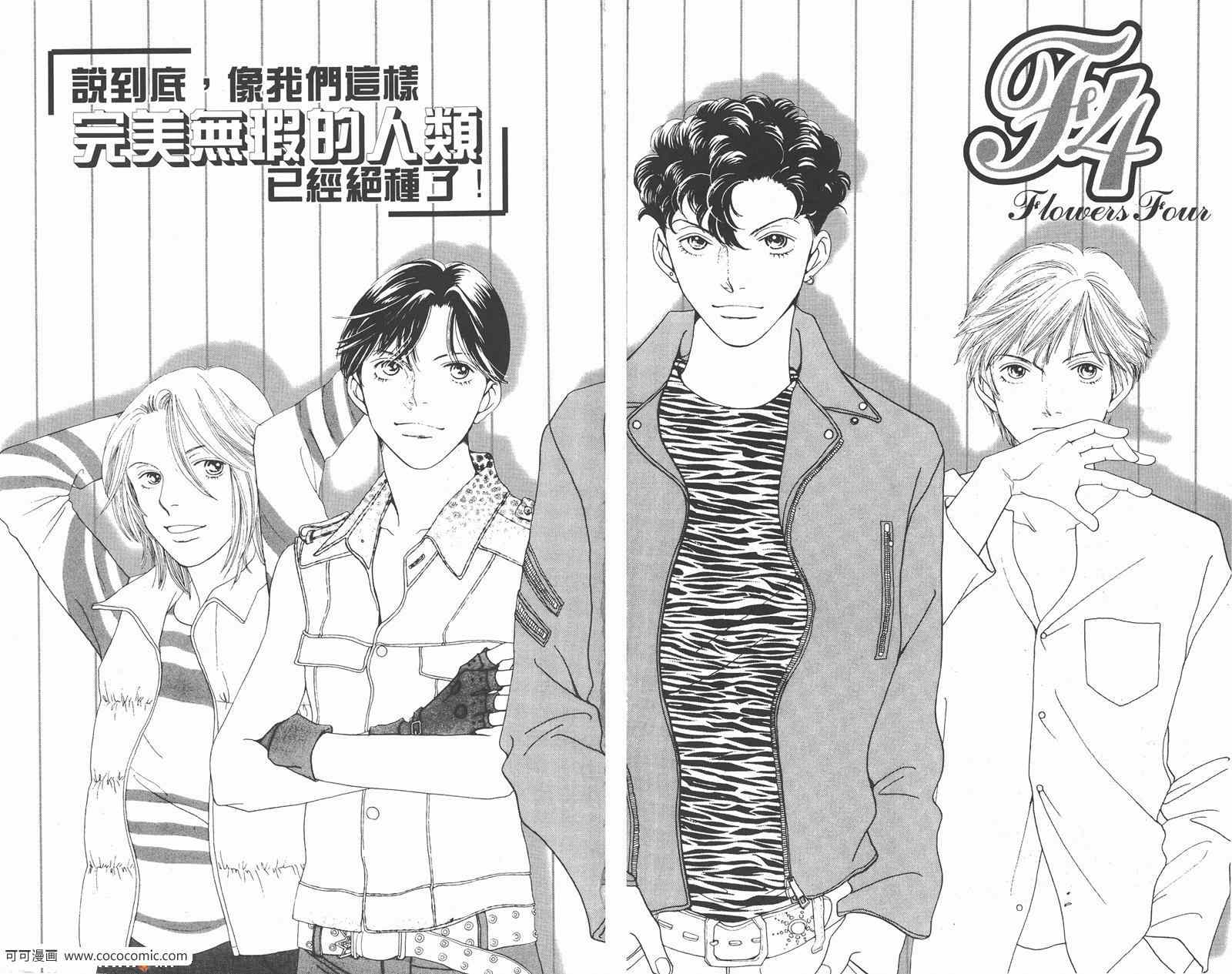 《流星花园》漫画 花样男子FF