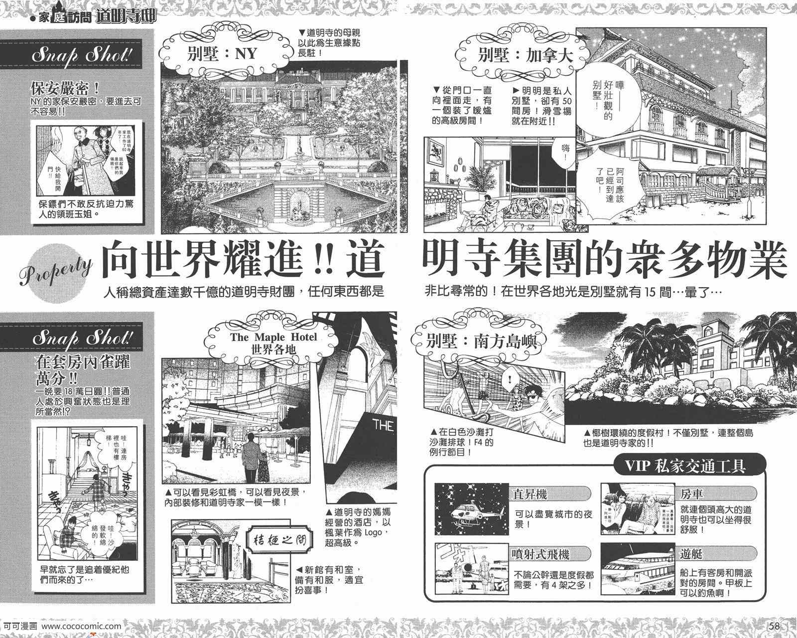 《流星花园》漫画 花样男子FF