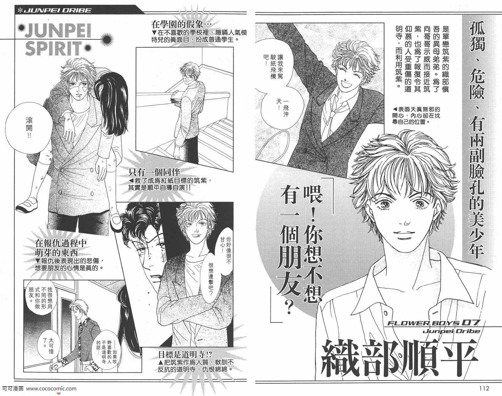 《流星花园》漫画 花样男子FF