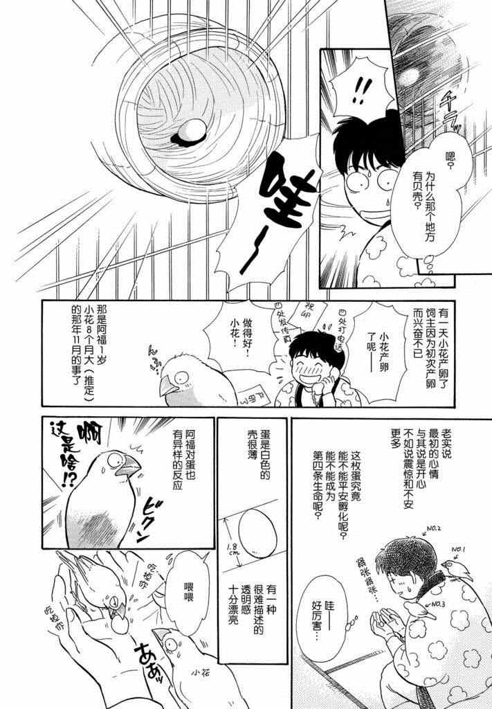 《文鸟与我》漫画 002集