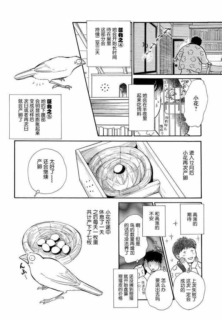 《文鸟与我》漫画 002集