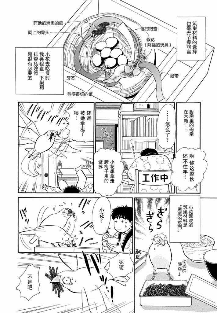 《文鸟与我》漫画 002集