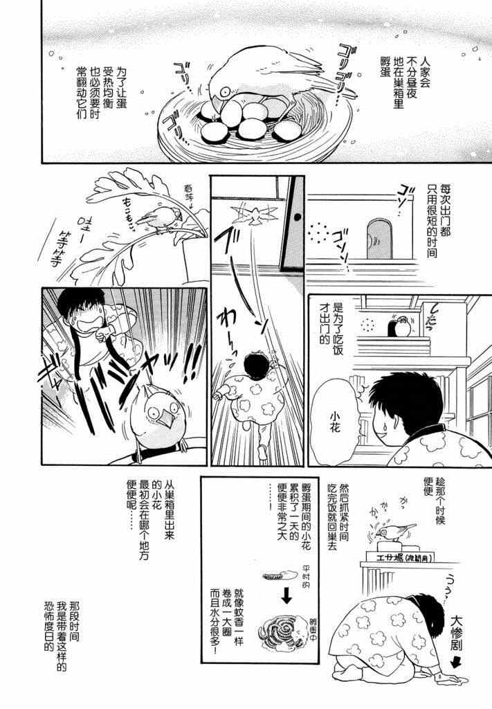 《文鸟与我》漫画 002集