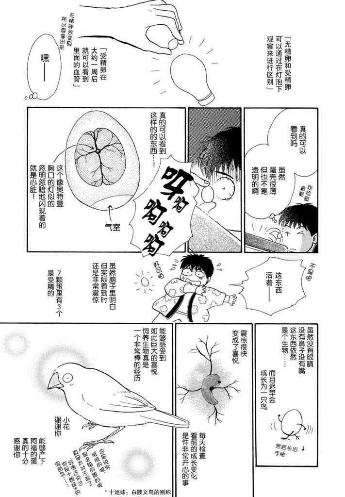 《文鸟与我》漫画 002集