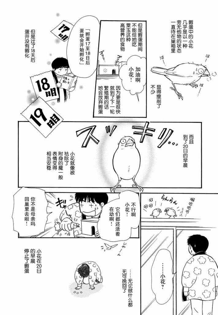 《文鸟与我》漫画 002集