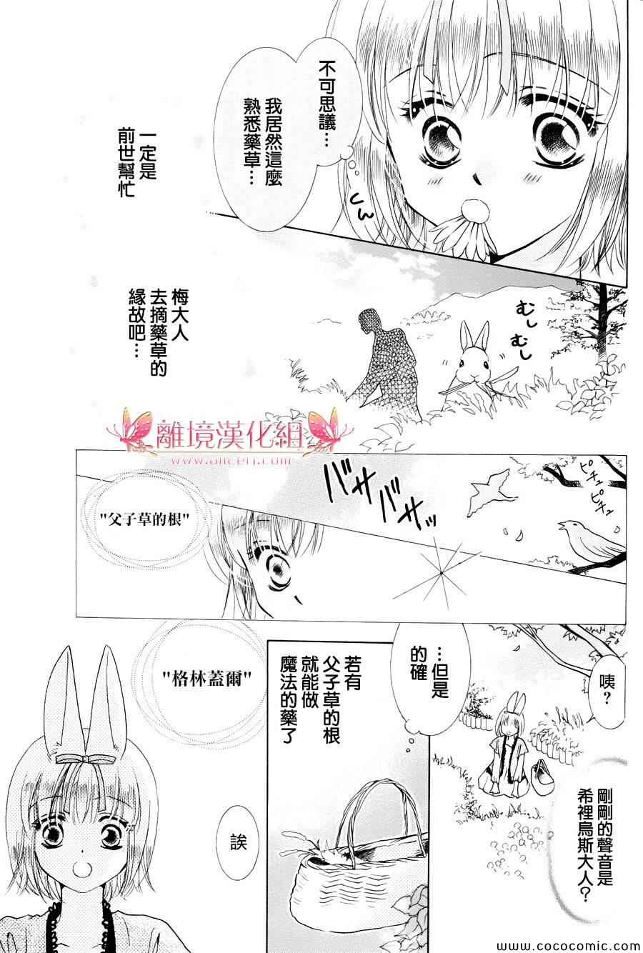 《兔子爱丽丝》漫画 005集