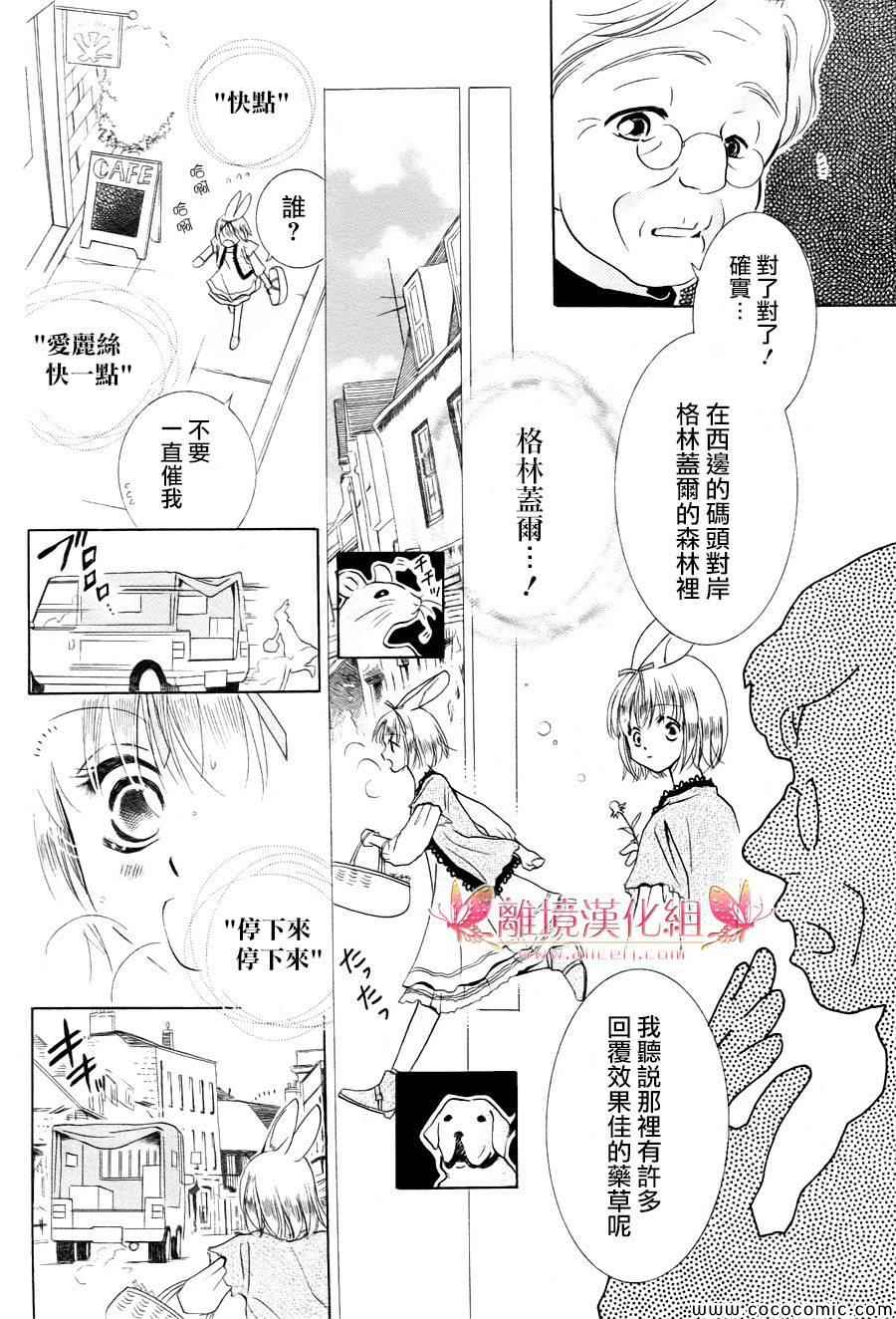 《兔子爱丽丝》漫画 005集