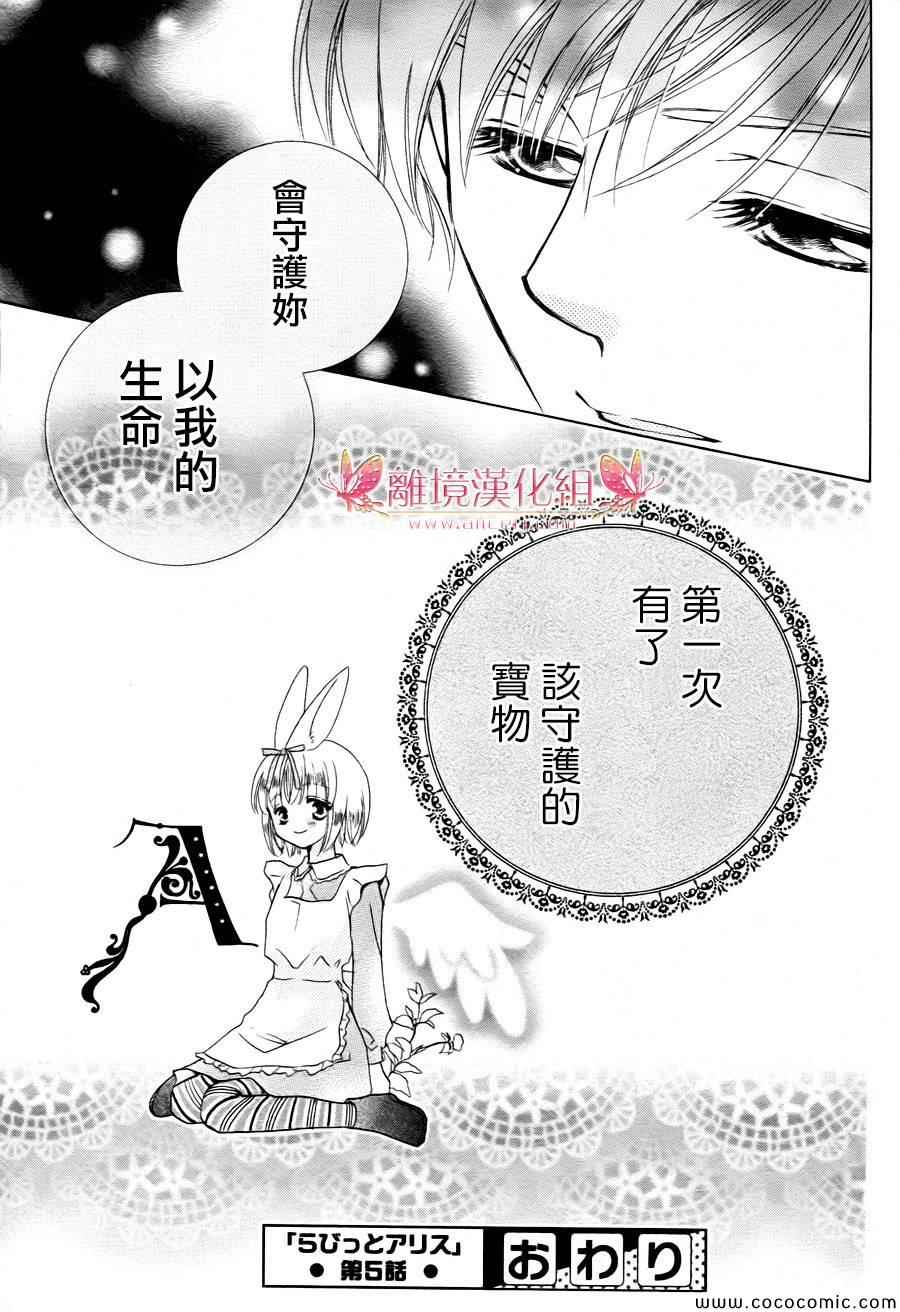 《兔子爱丽丝》漫画 005集