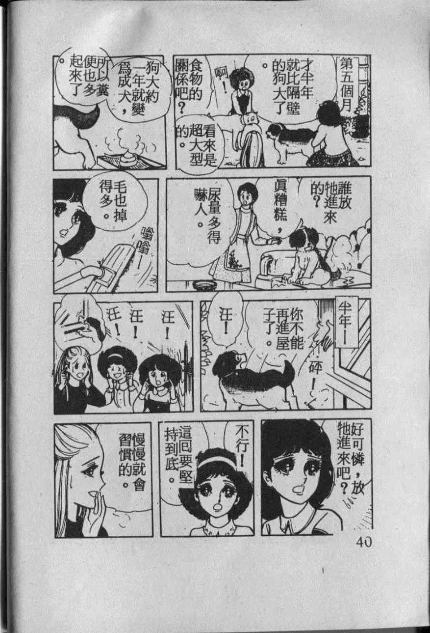 《番红花的抉择》漫画 001卷