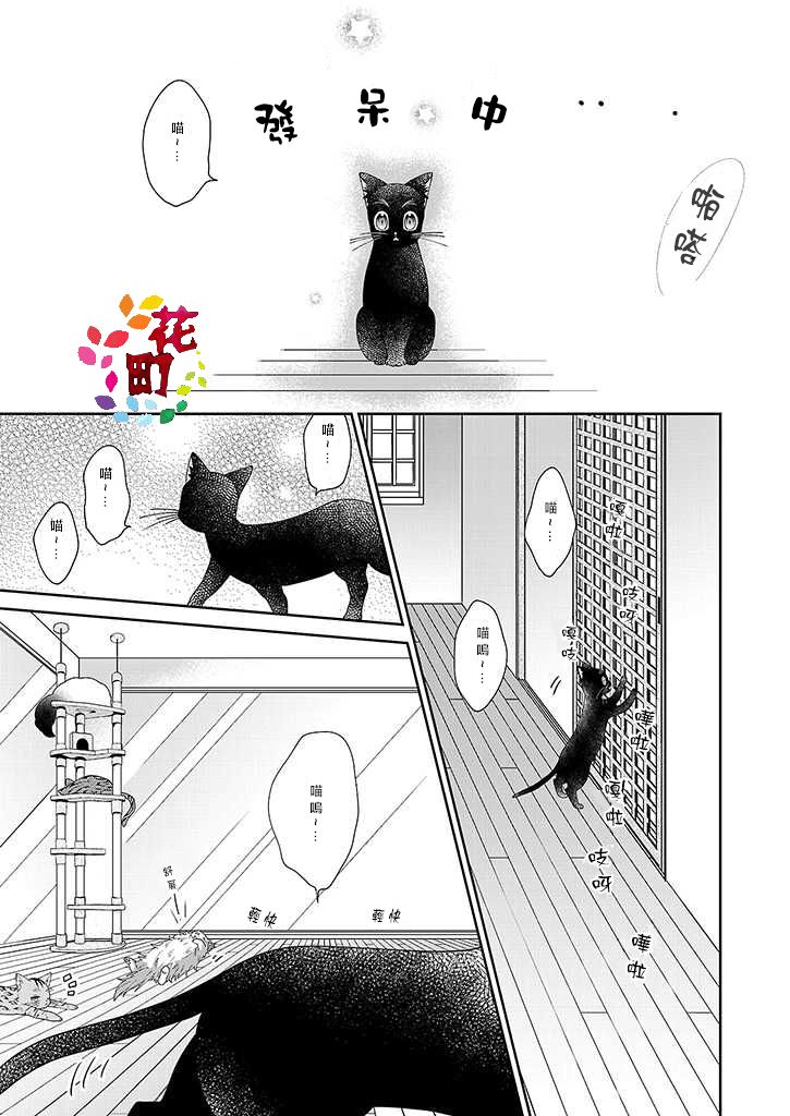 《猫男友》漫画 005话