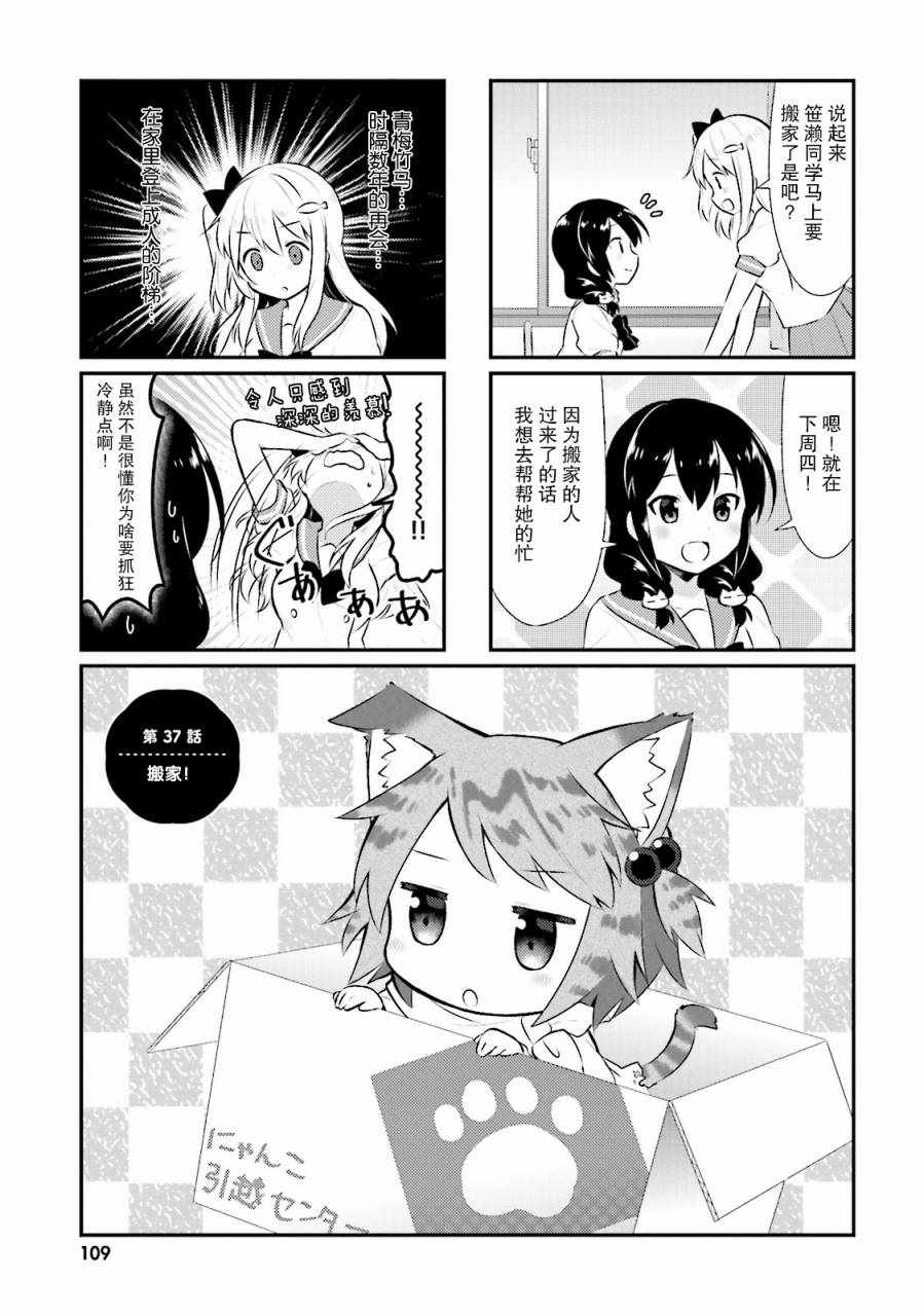 《猫咪日常》漫画 037话