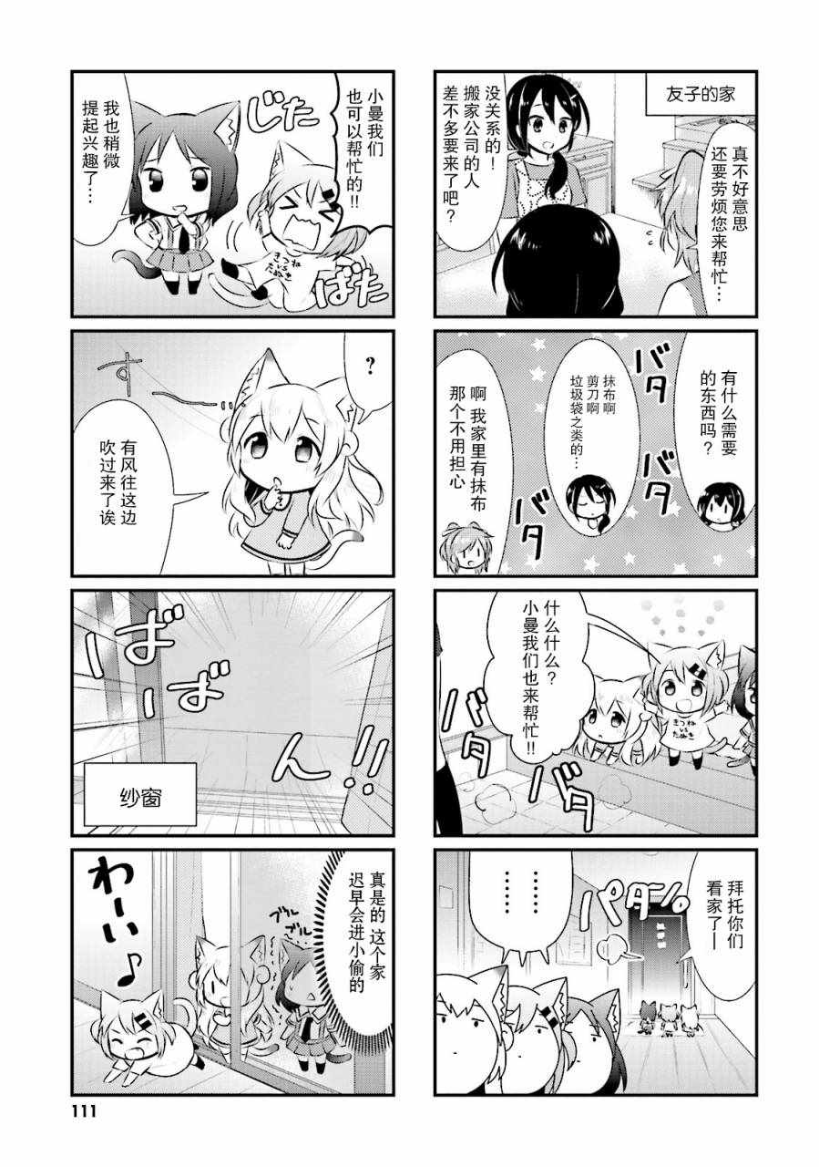 《猫咪日常》漫画 037话