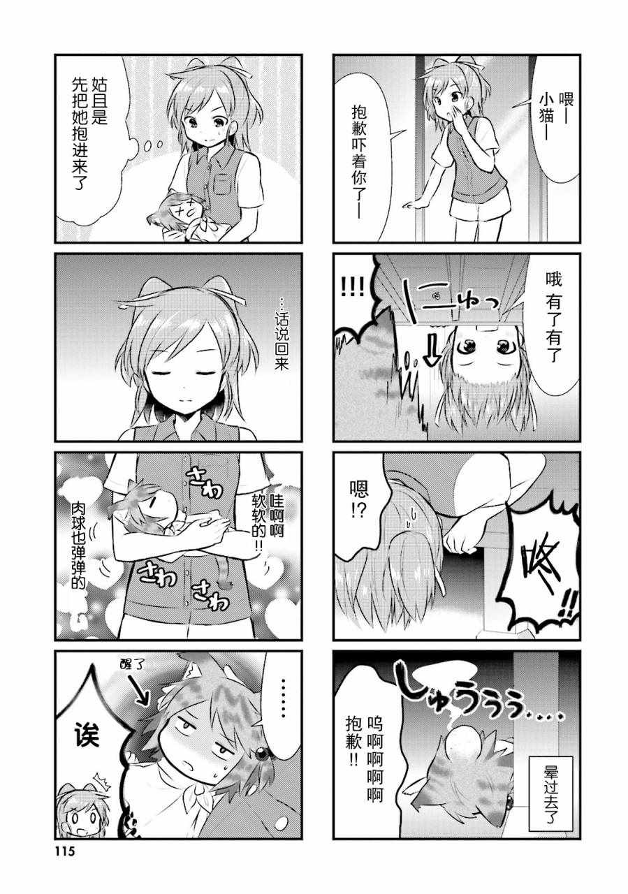 《猫咪日常》漫画 037话