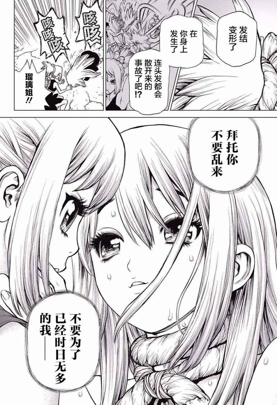 《Dr.STONE》漫画 019话