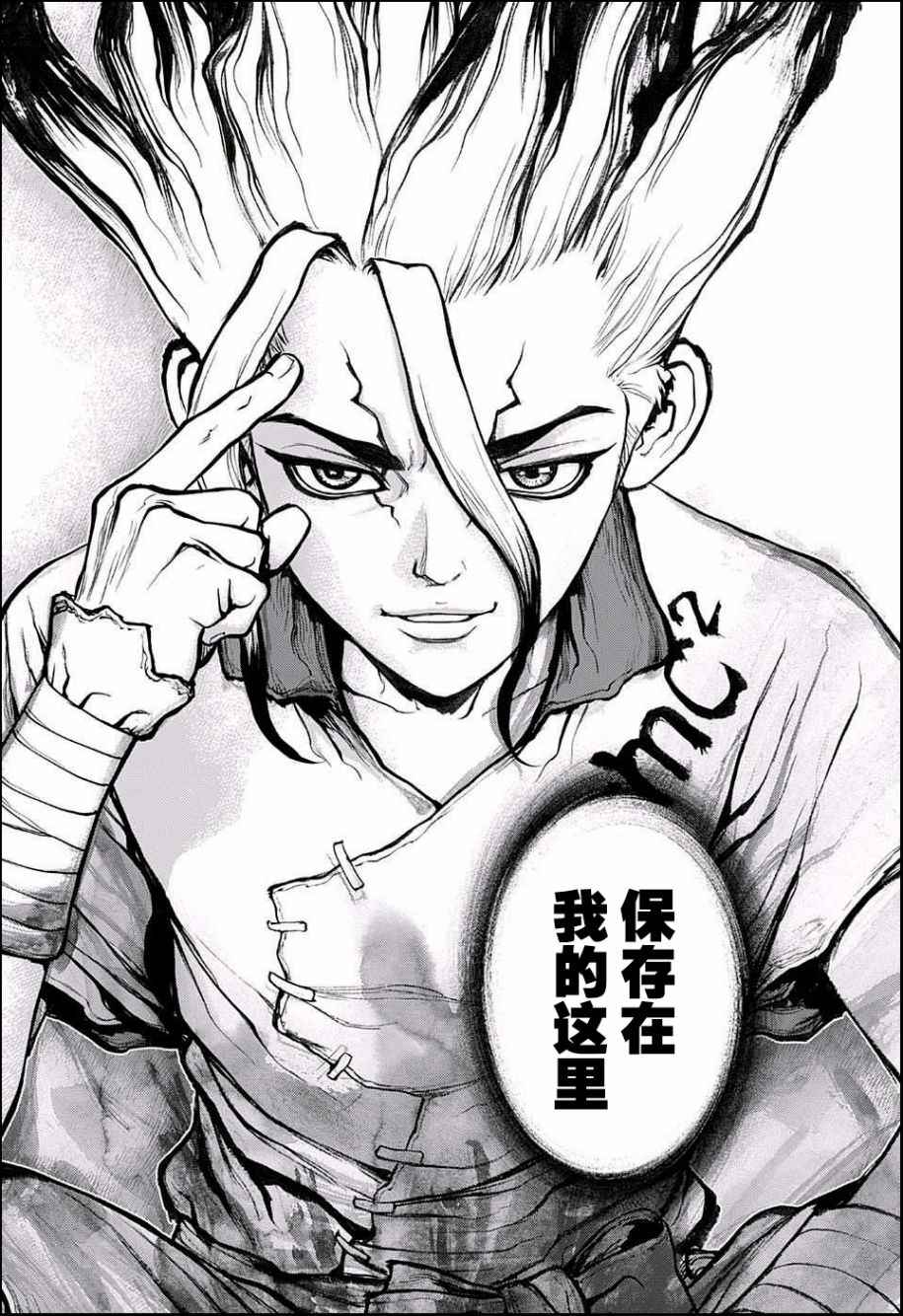 《Dr.STONE》漫画 019话