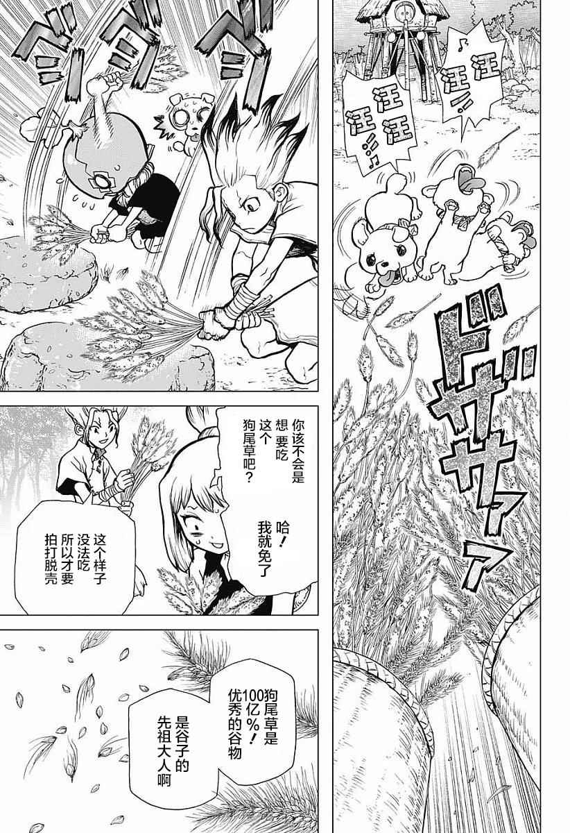 《Dr.STONE》漫画 022话