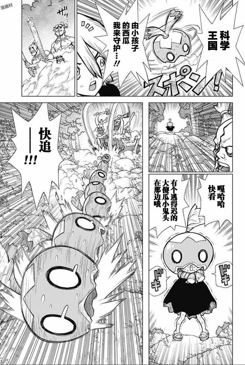 《Dr.STONE》漫画 049话