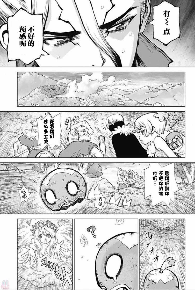 《Dr.STONE》漫画 049话