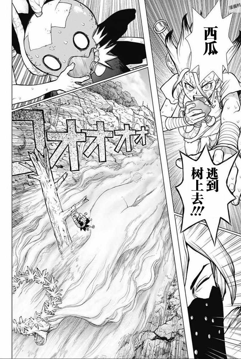 《Dr.STONE》漫画 049话