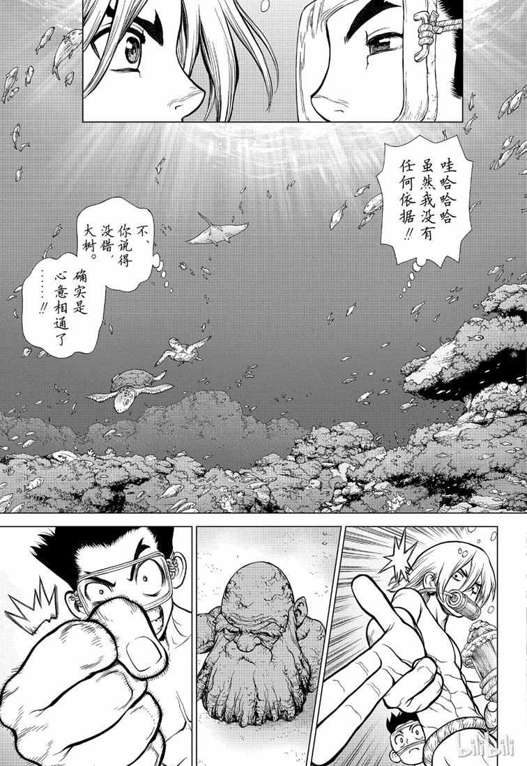 《Dr.STONE》漫画 118集