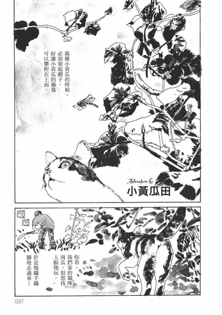 《南瓜与我的野放生活》漫画 野放生活 001卷