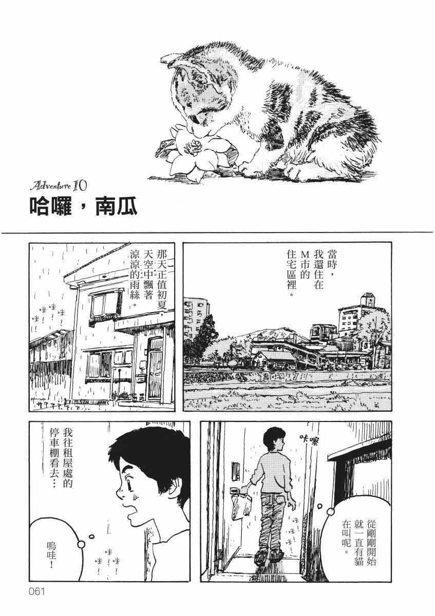 《南瓜与我的野放生活》漫画 野放生活 001卷