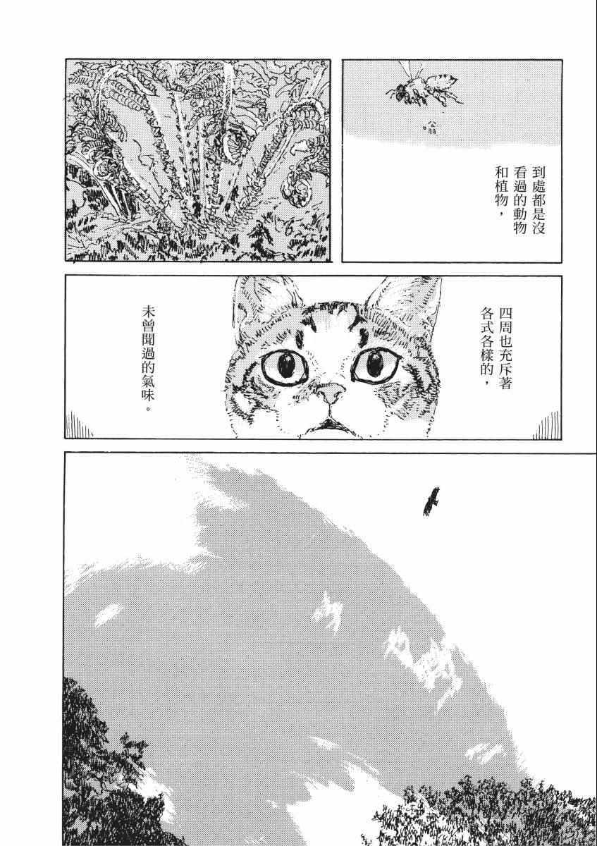 《南瓜与我的野放生活》漫画 野放生活 001卷