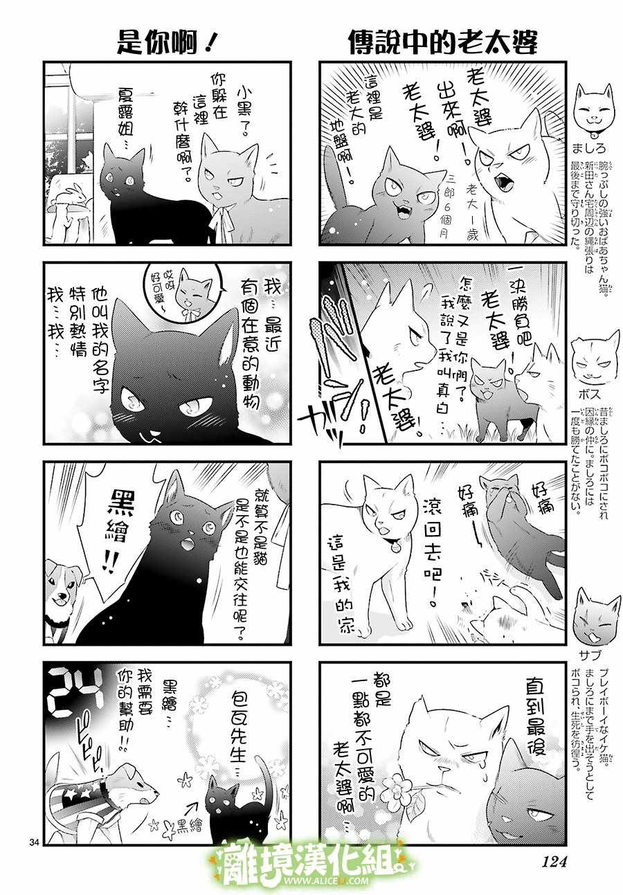 《小阳、日和与动物之声》漫画 005话