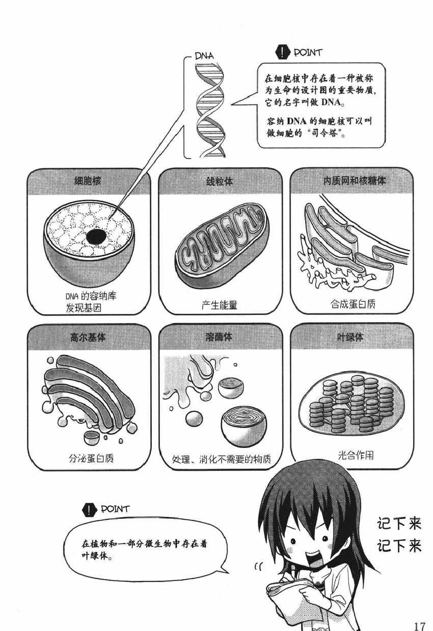 《欧姆社学习漫画》漫画 生物化学