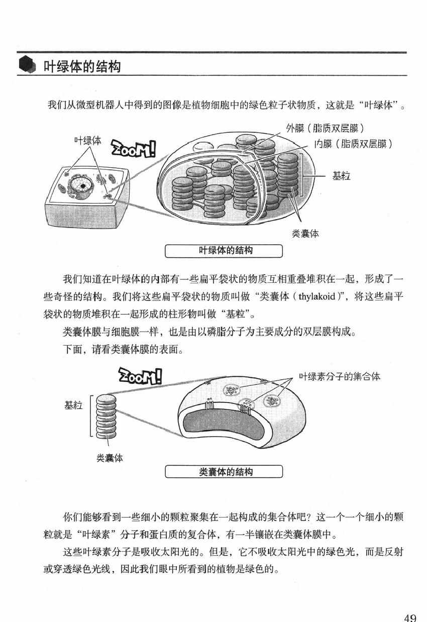 《欧姆社学习漫画》漫画 生物化学