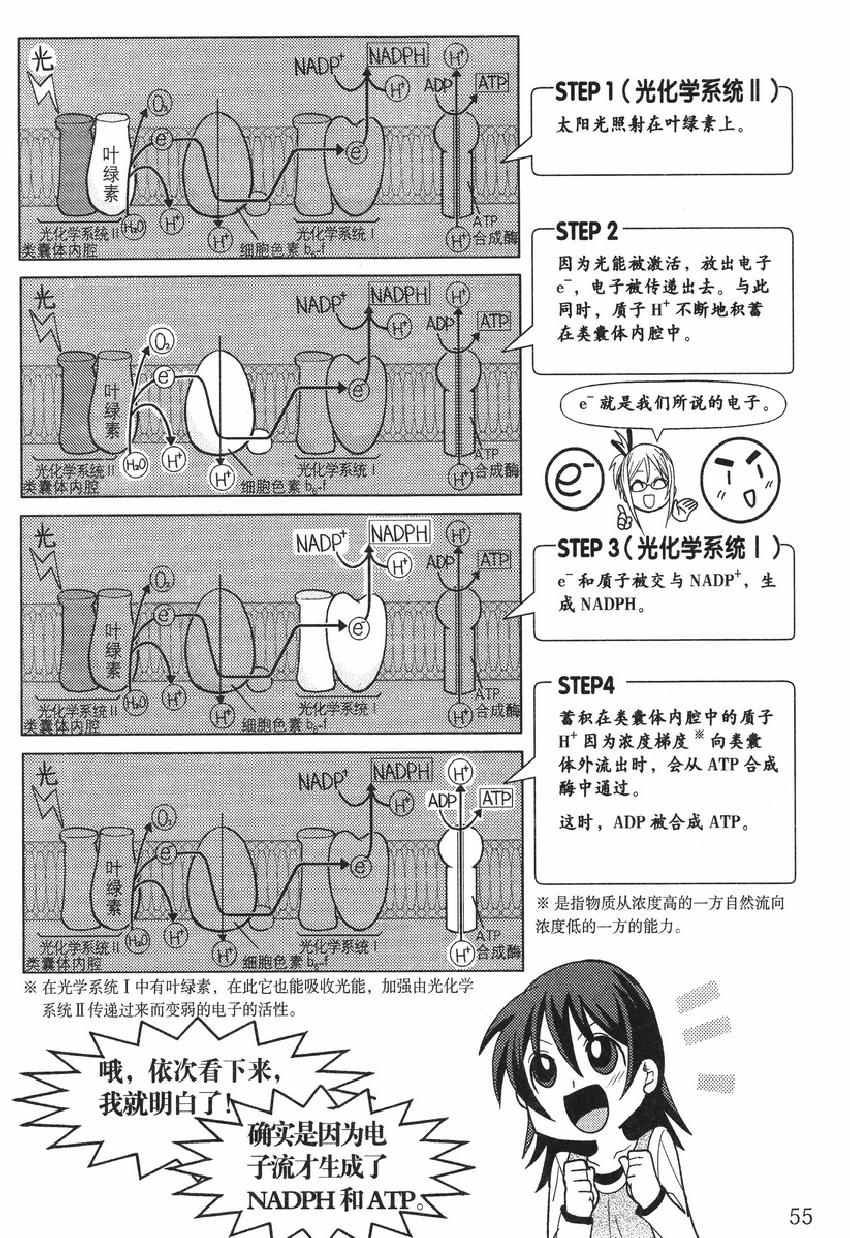 《欧姆社学习漫画》漫画 生物化学