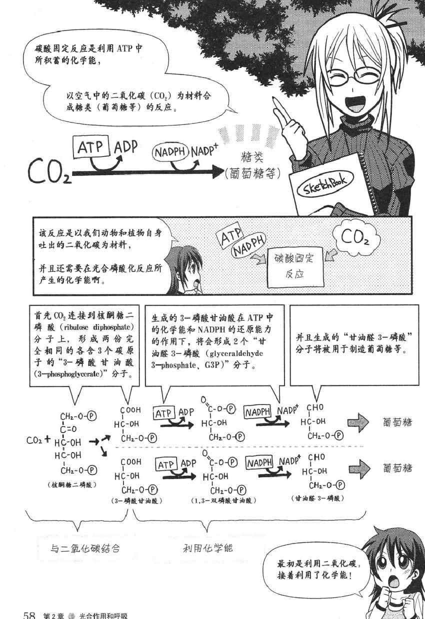 《欧姆社学习漫画》漫画 生物化学