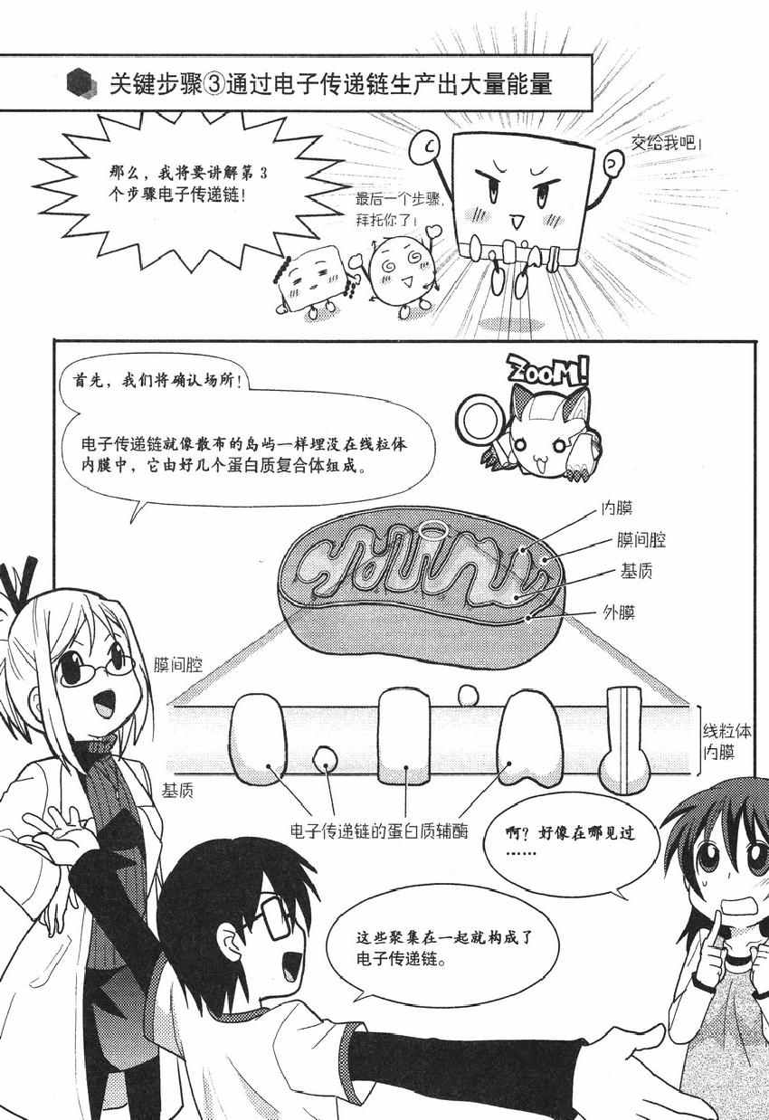 《欧姆社学习漫画》漫画 生物化学