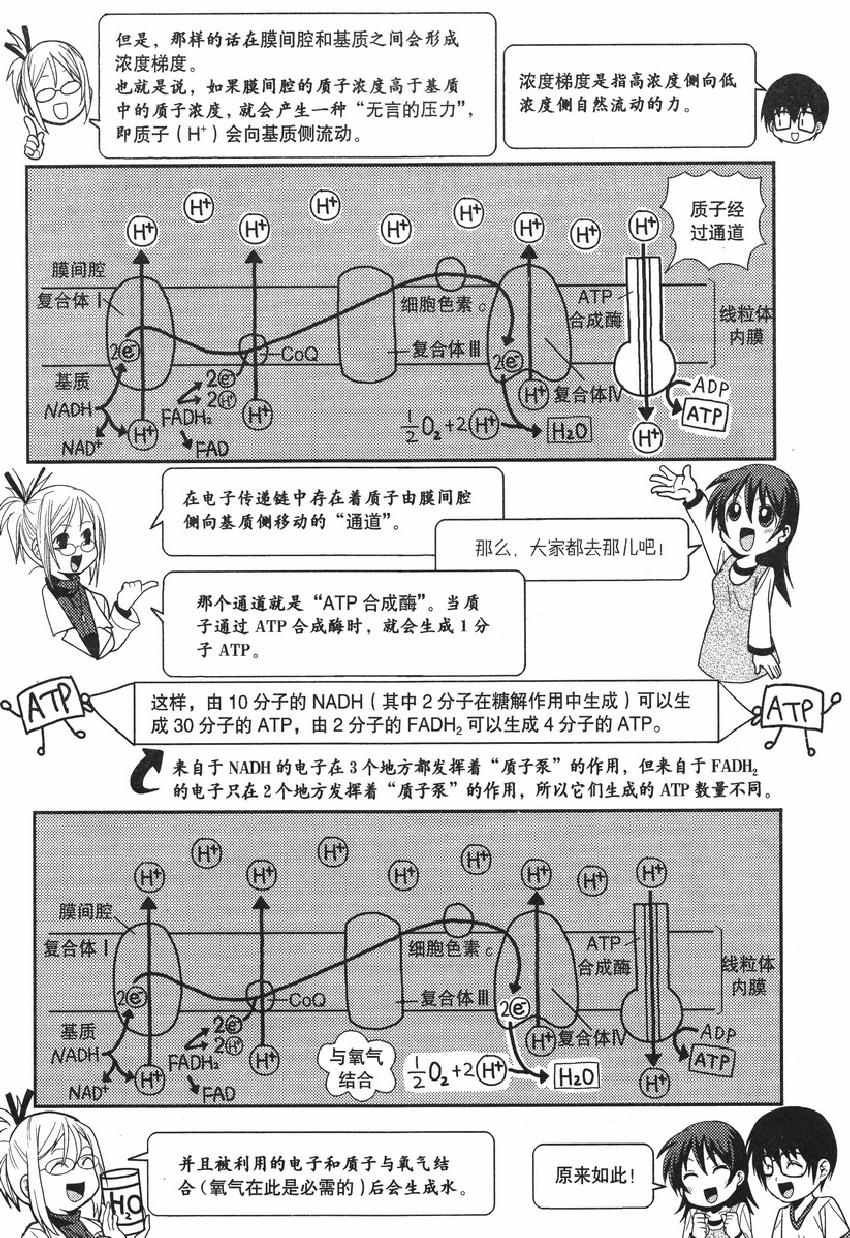 《欧姆社学习漫画》漫画 生物化学