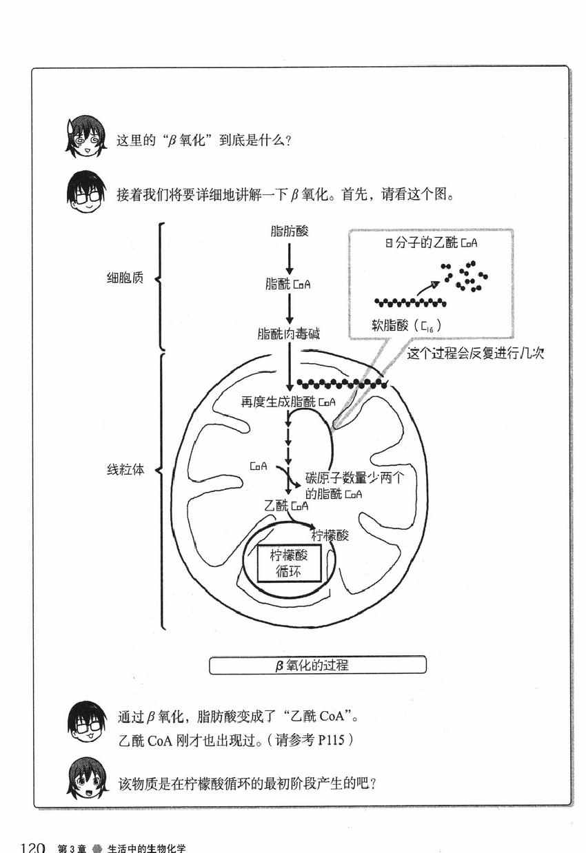 《欧姆社学习漫画》漫画 生物化学