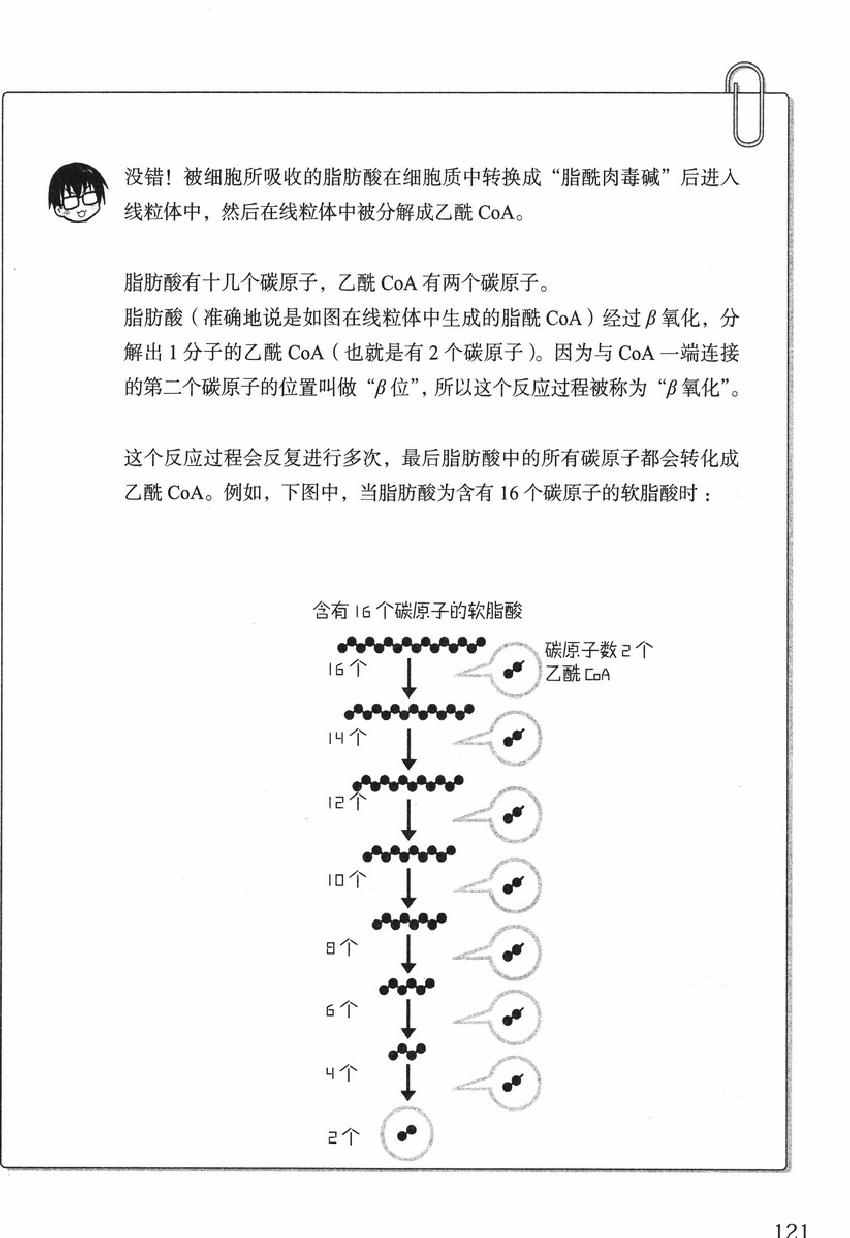 《欧姆社学习漫画》漫画 生物化学