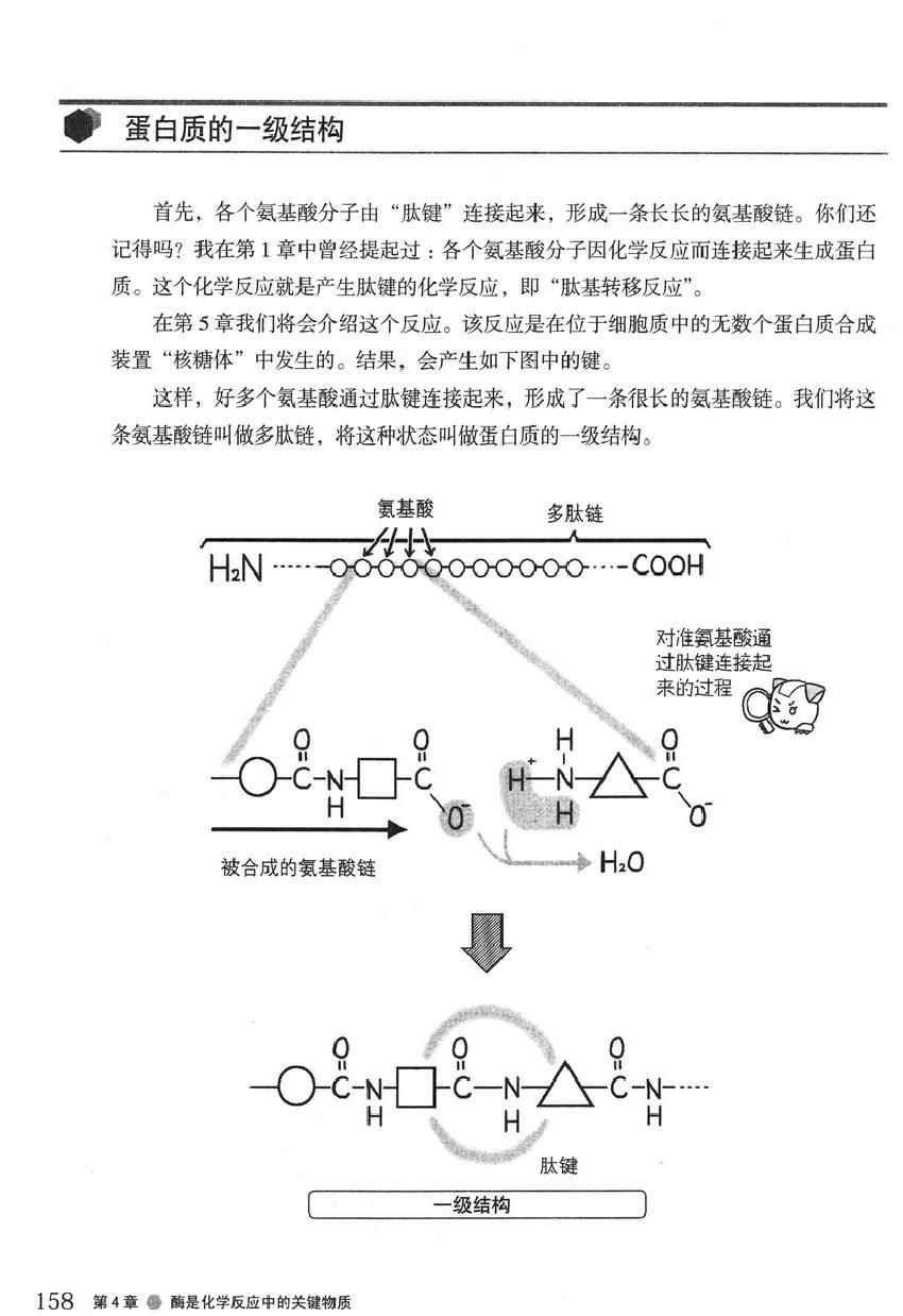 《欧姆社学习漫画》漫画 生物化学