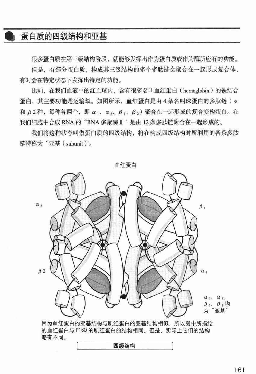 《欧姆社学习漫画》漫画 生物化学